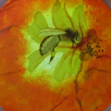 Abeille